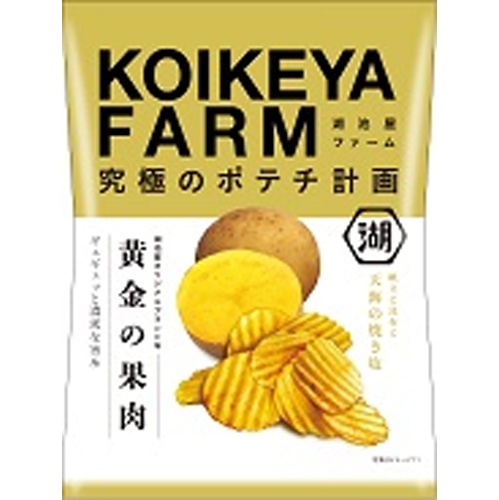 湖池屋FARM 黄金の果肉天美の焼き塩55g