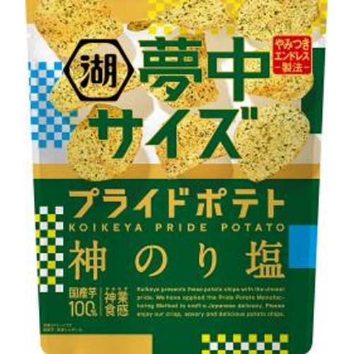 湖池屋 夢中サイズ プライドポテト神のり塩102g【03/31 新商品】