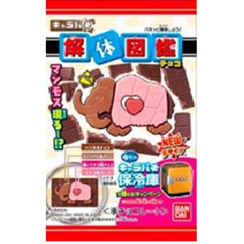 バンダイ キャラパキ 解体図鑑 商品紹介 お菓子 駄菓子の仕入れや激安ネット通販なら菓子卸問屋タジマヤ