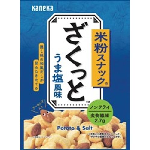 カネカ 米粉スナック うま塩風味35g【08/31 新商品】