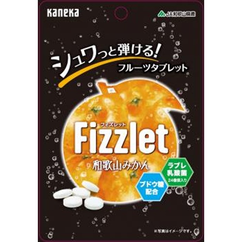 カネカ Fizzlet 和歌山みかん24g