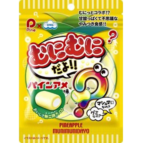 エイワ むにむにだよ パインアメ味40g