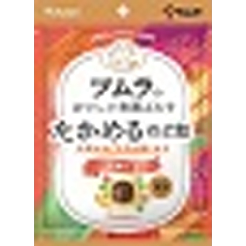 春日井 ツムラのおいしい和漢ぷらす たかめるのど飴