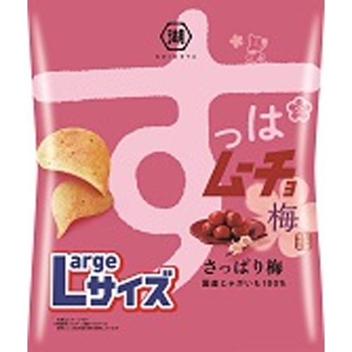 湖池屋 Lサイズすっぱムーチョチップス 梅118g