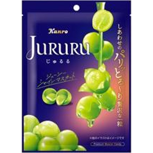 カンロ じゅるる シャインマスカット60g【03/31 新商品】