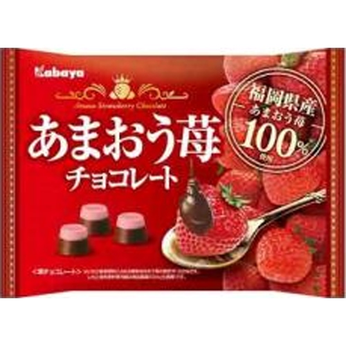 カバヤ あまおう苺チョコレート 122g【02/25 新商品】