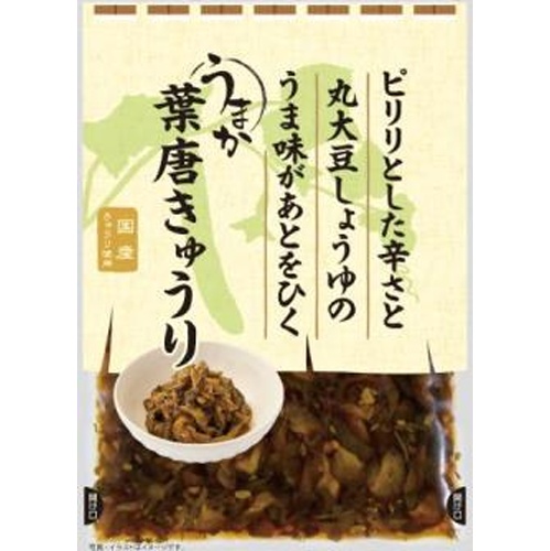 新進 うまか葉唐きゅうり【09/01 新商品】