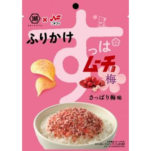 ニチフリ すっぱムーチョふりかけ 20g【08/26 新商品】