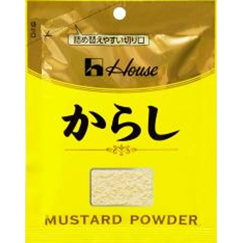 ハウス からし袋入り27g【11/01 新商品】