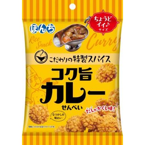 ぼんち コク旨カレーせんべい 55g【01/27 新商品】