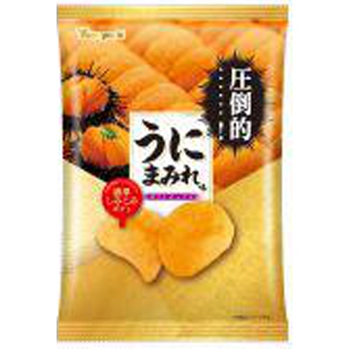 山芳 ポテト うにまみれ味 45g | 商品紹介 | お菓子・駄菓子の仕入れや