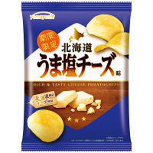 山芳 ポテト 北海道うま塩チーズ味47g | 商品紹介 | お菓子・駄菓子の